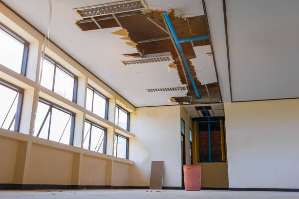 Best 24-hour water damage restoration  in Lorado Springs, CO