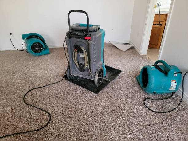 Best 24-hour water damage restoration  in Lorado Springs, CO