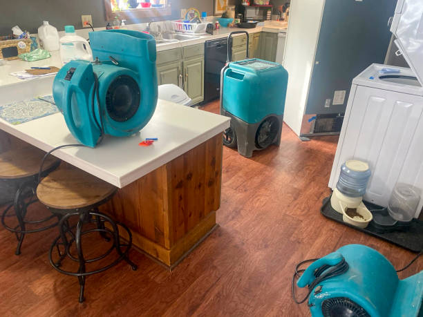 Best Local water damage restoration  in Lorado Springs, CO