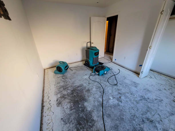 Best 24/7 water damage repair  in Lorado Springs, CO