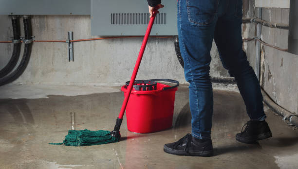 Best Ceiling water damage repair  in Lorado Springs, CO
