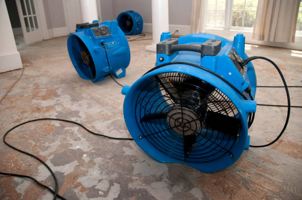 Professional Water damage restoration in Colorado Springs, CO