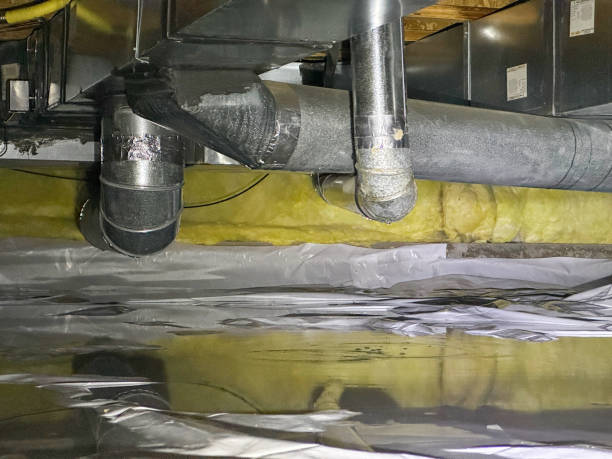 Best Carpet water damage restoration  in Lorado Springs, CO