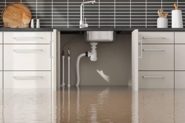 Best Flood damage cleanup  in Lorado Springs, CO