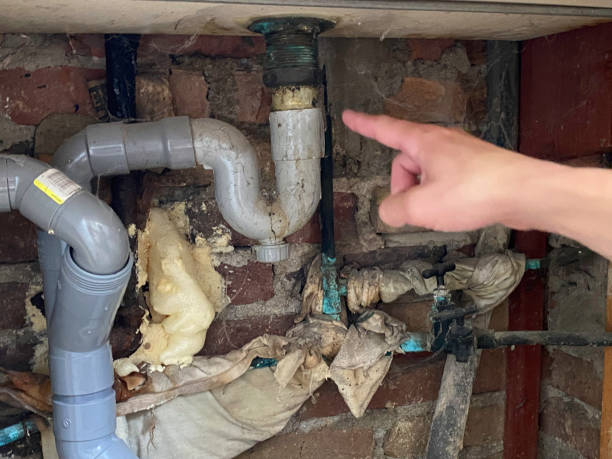 Best Commercial water damage restoration  in Lorado Springs, CO
