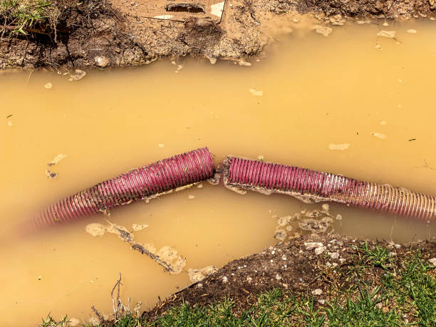 Best Sewage cleanup and water damage restoration  in Lorado Springs, CO