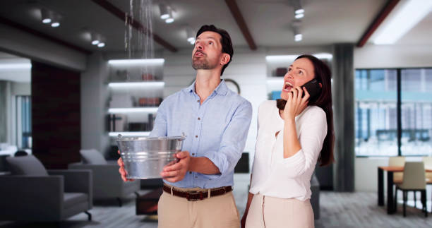 Best Professional water damage repair  in Lorado Springs, CO